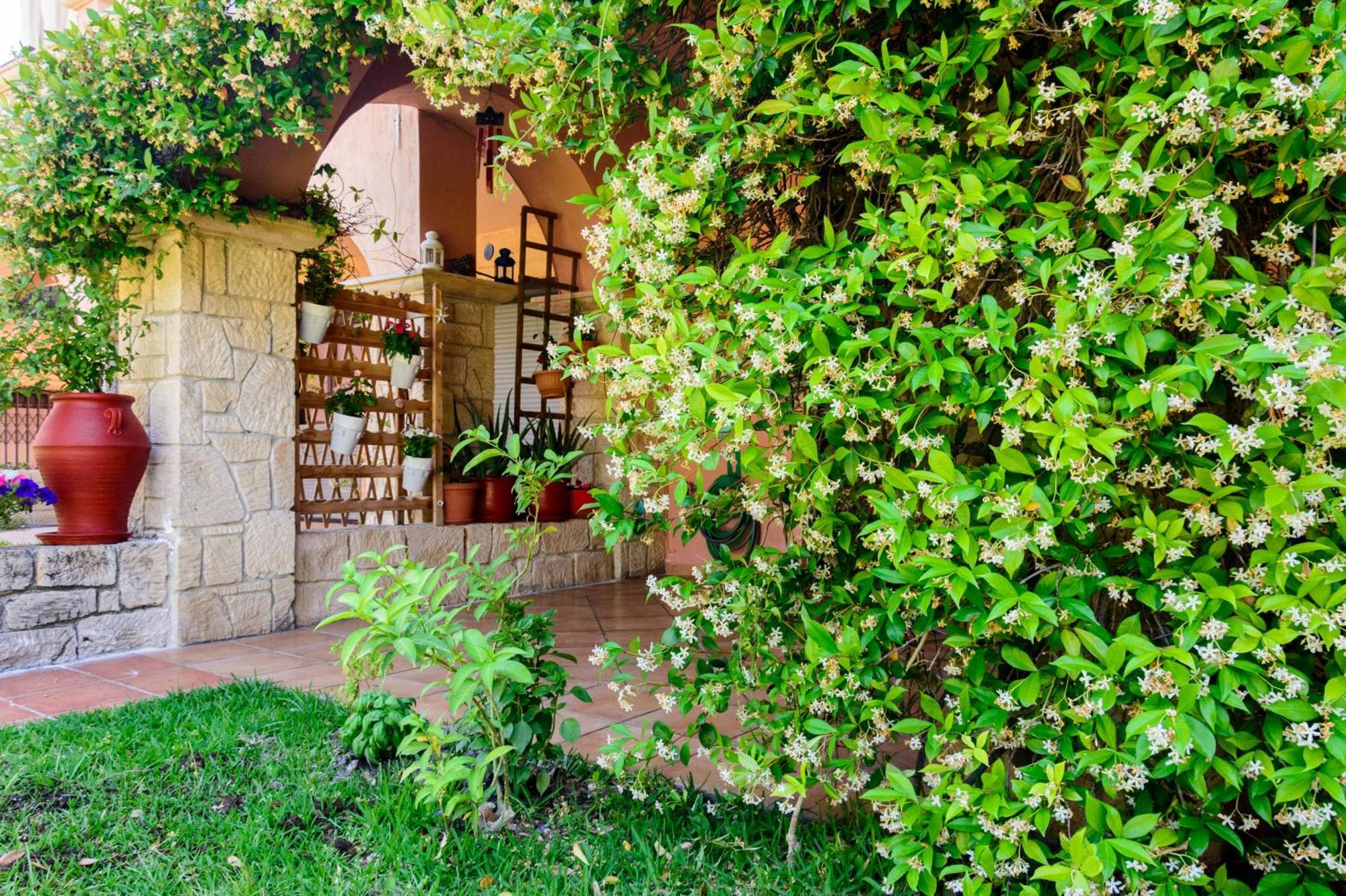 La Luna House Pefkochori Ngoại thất bức ảnh